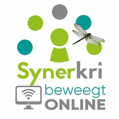 synerkri beweegt online
