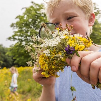 natuur