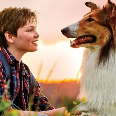 lassie