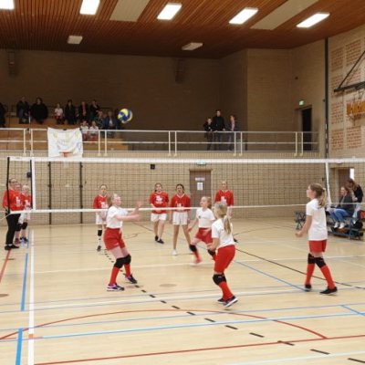 volleybal