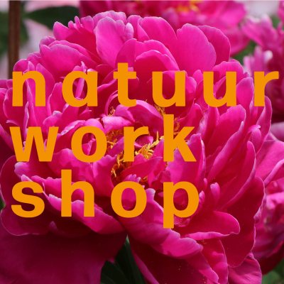 natuurworkshop