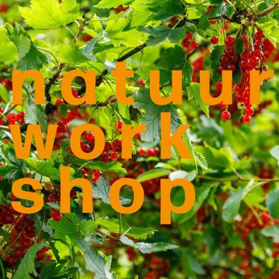 natuurworkshop