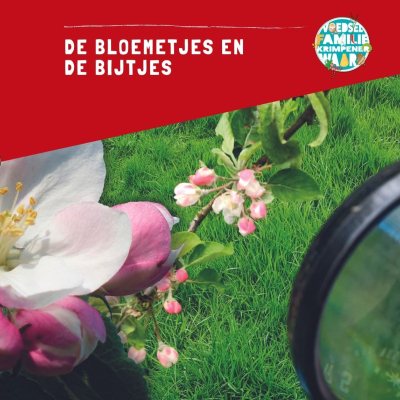 boomgaard in bloei