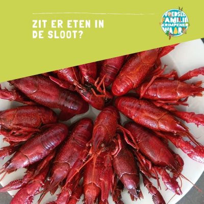 voedsel uit de sloot
