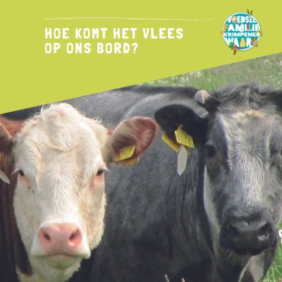 vlees