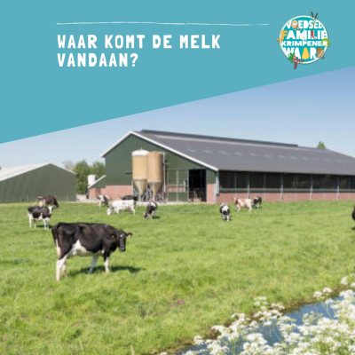 bezoek