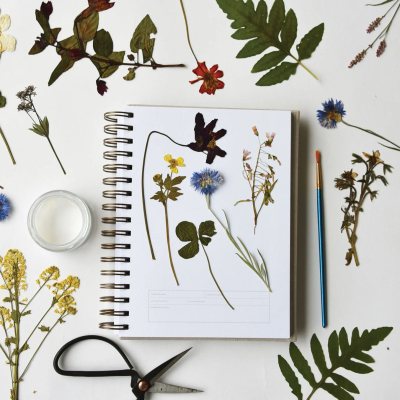 herbarium