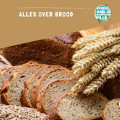 Alles over brood