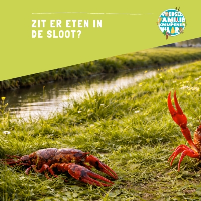 Zit er eten in de sloot?