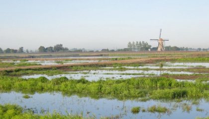 Ontstaan van de Krimpenerwaard