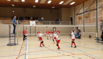 volleybal