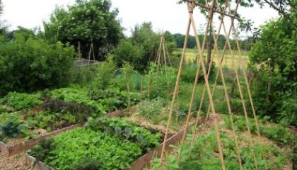 bezoek tuinbedrijf