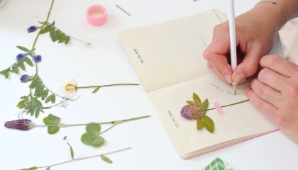 herbarium