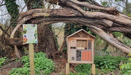 zwaneneiland insectenhotel