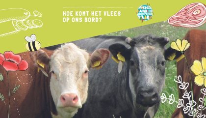 vlees