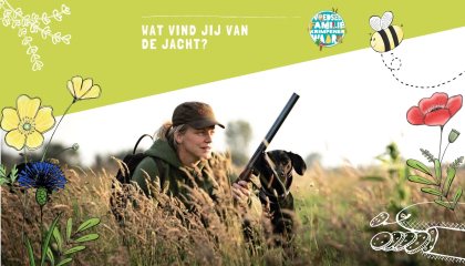 jacht