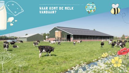 bezoek
