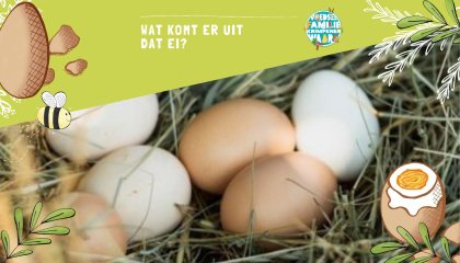 ei