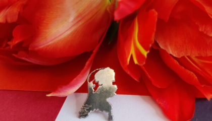 Tulpen