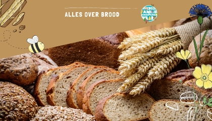 Alles over brood