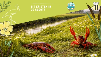 Zit er eten in de sloot?