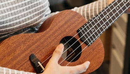 Workshop ukelele gitaar