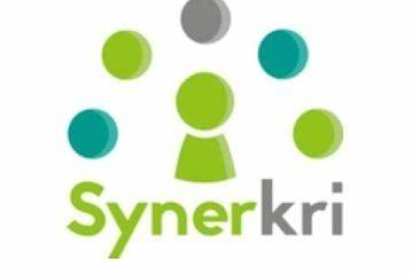 logo synerkri