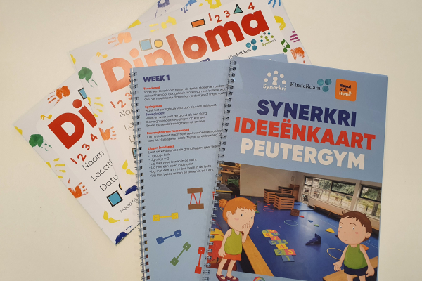 Afbeelding van de ideeenkaart