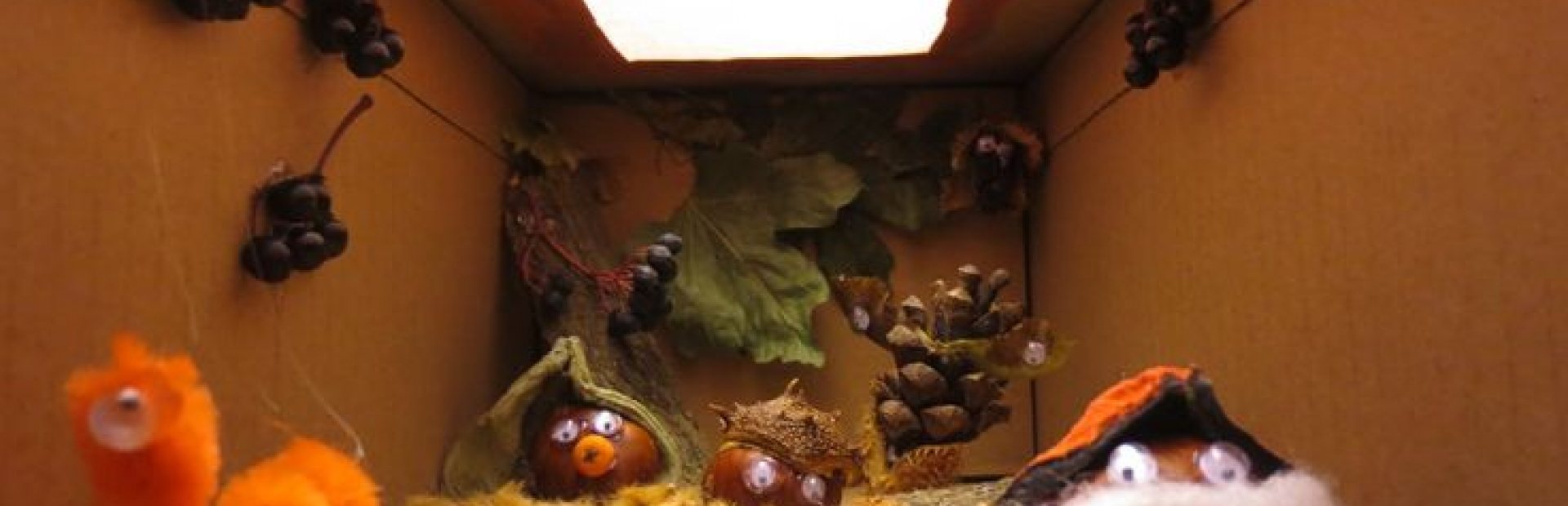 Herfst Kijkdoos Maken Synerkri